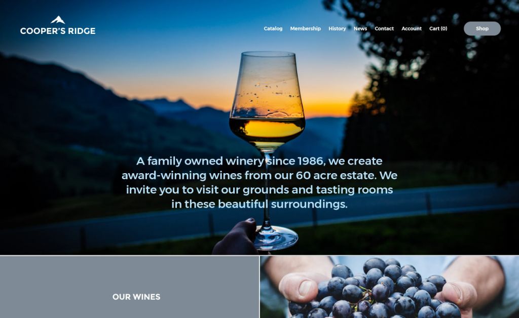 Wine websites store