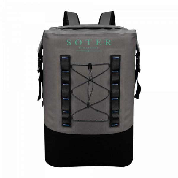 25L Backpack Cooler