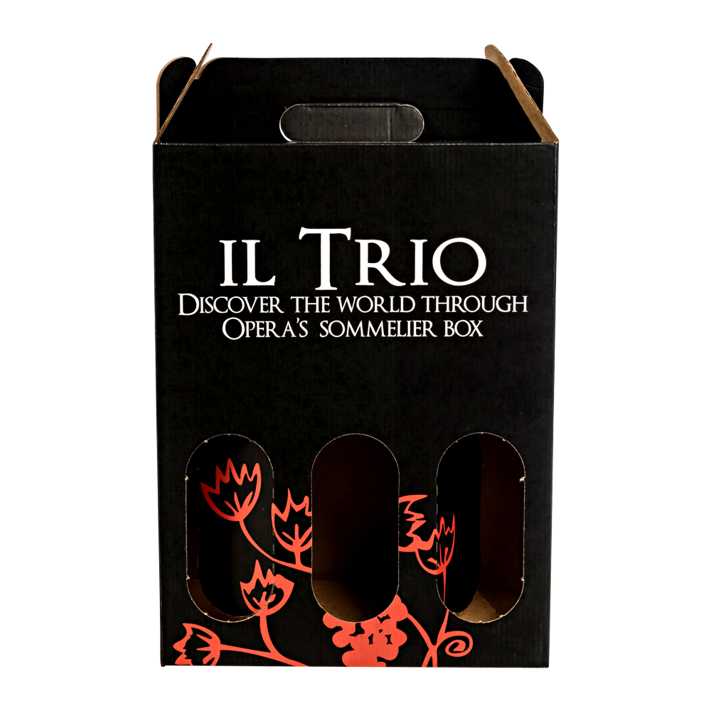 WNG-1156-3-Bottle-Cardboard-Carrier-4 Carrier 3 Bottle