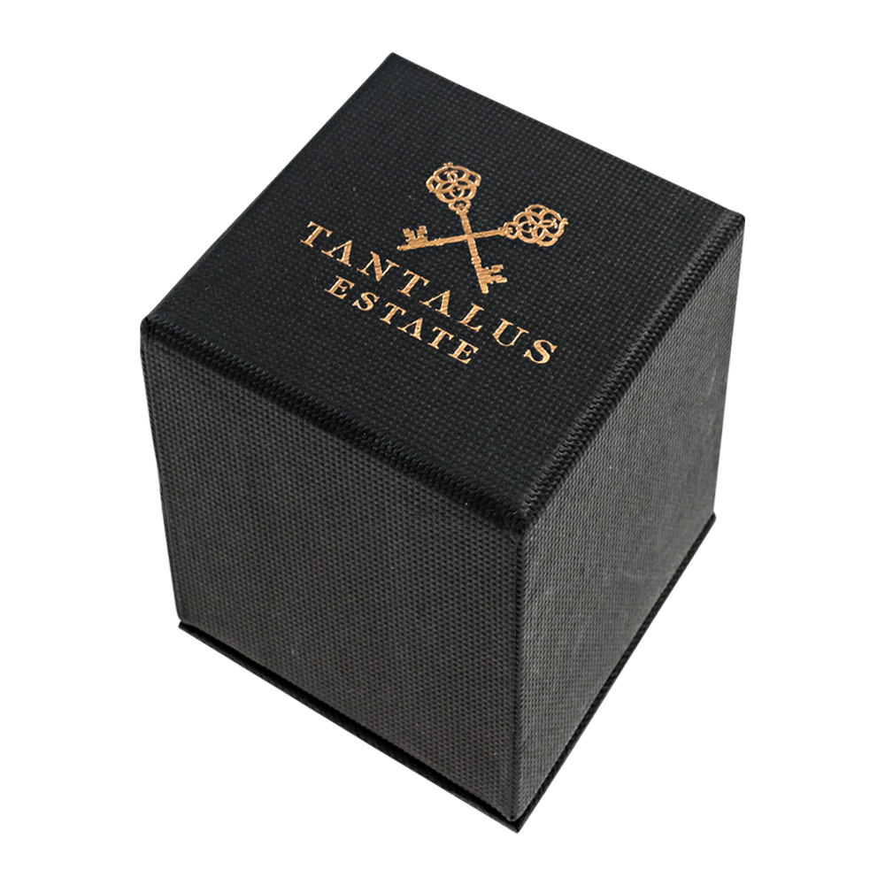 WNG-070-1-Standard-Stopper-with-Box-6 Standard Metal Champagne Stopper with Gift Box