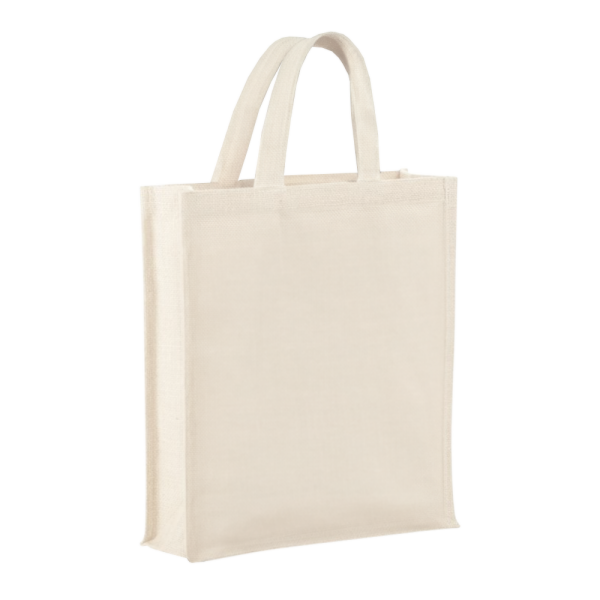 3-Bottle Heavy Cotton Canvas Tote