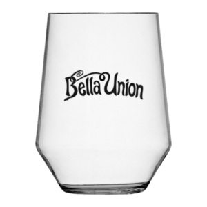 Outdoor Stemless Wine Glass 19oz