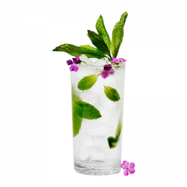 14oz. MS Plastic Highball Glass