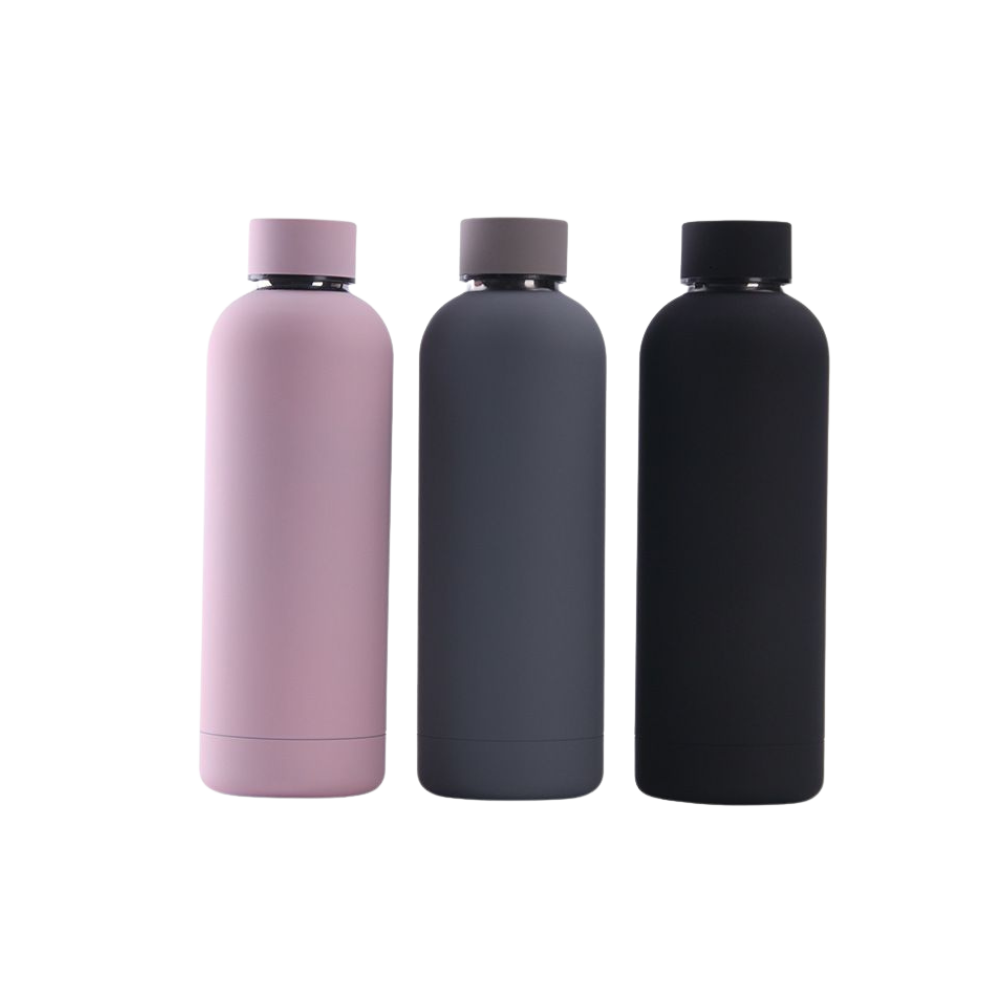 WNG-2168-Steel-Sports-Bottle-17oz-15-multicolors Steel Sports Bottle 17oz