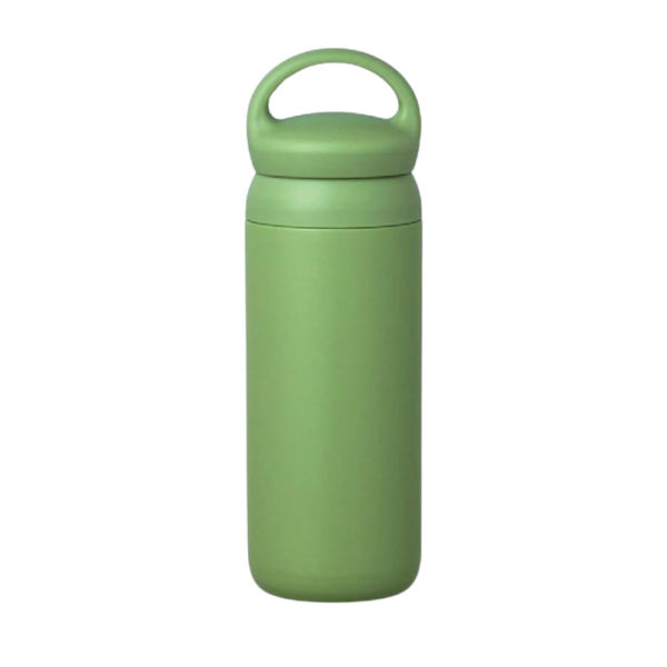 Travel Flask with Handle 17oz