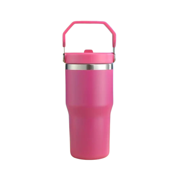 Insulated Tumbler Flip Straw 20oz