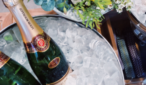 Ice Buckets for Different Settings Home Use vs. Outdoor Events | Wine-N-Gear