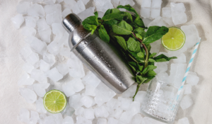 Best 6 Cocktail Shakers of 2024