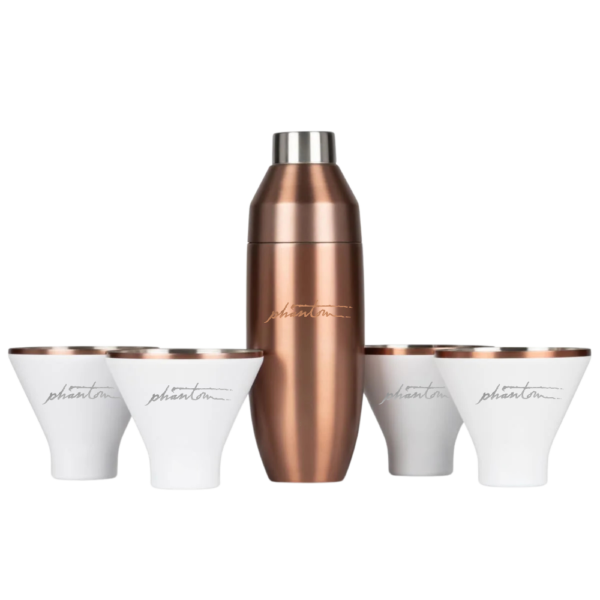 Insulated Cocktail Shaker and Martini Tumbler Set