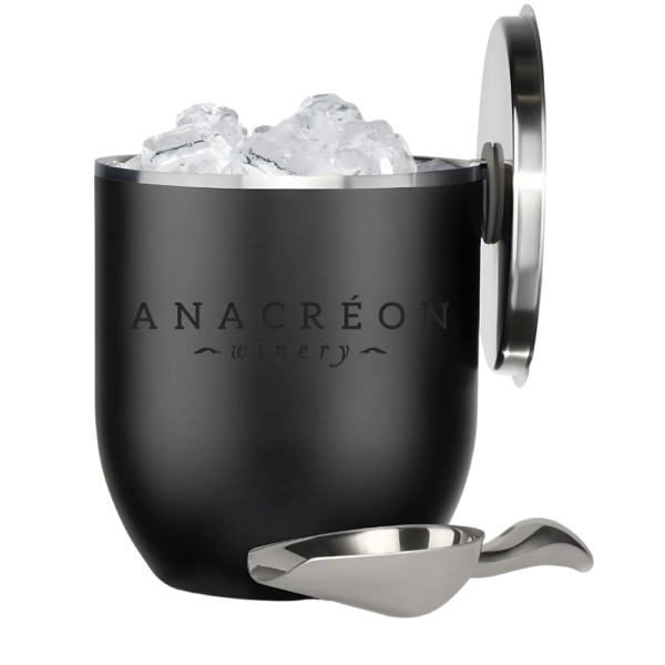 3L Insulated Ice bucket with Lid and Scoop