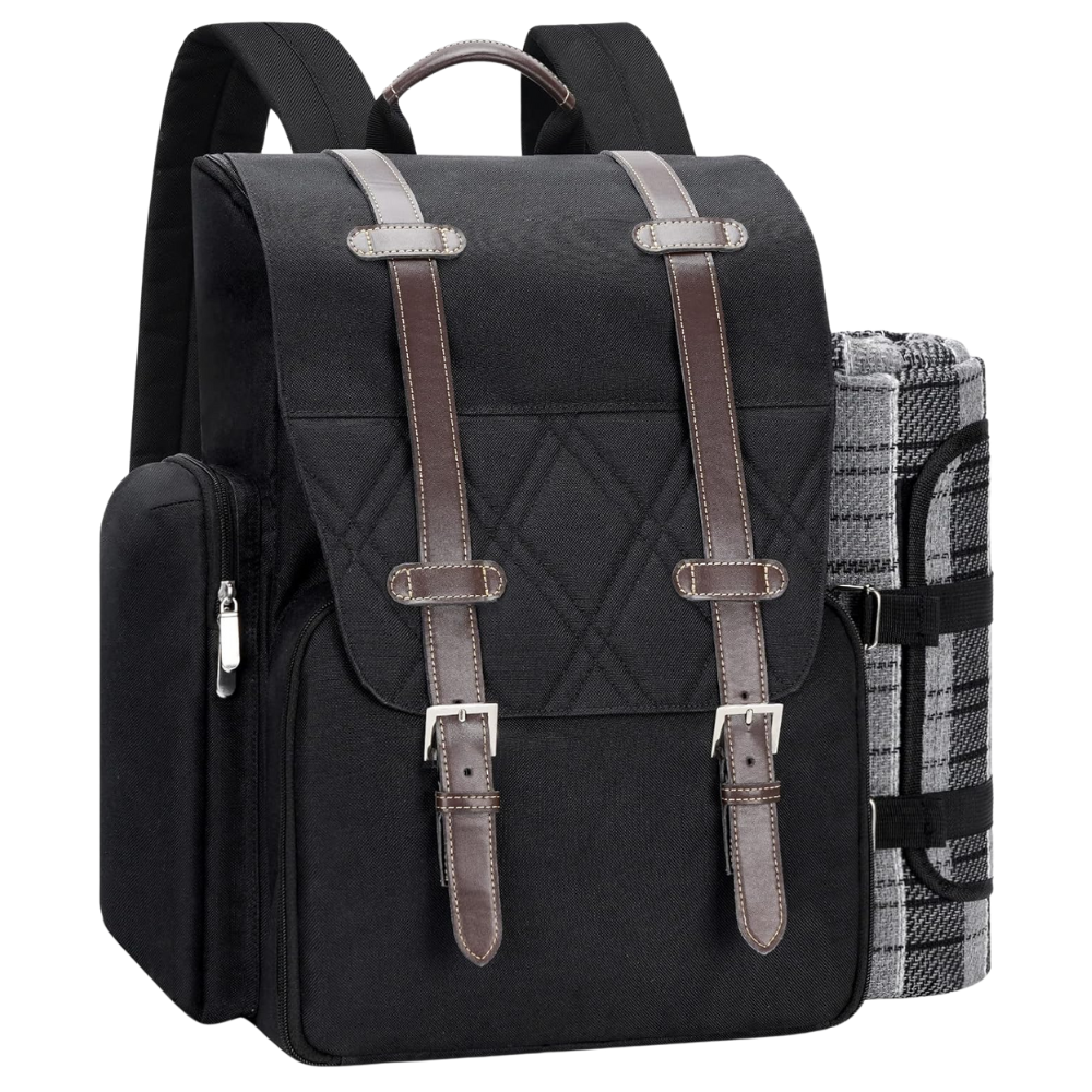 4-Person Insulated Cooler Picnic Backpack