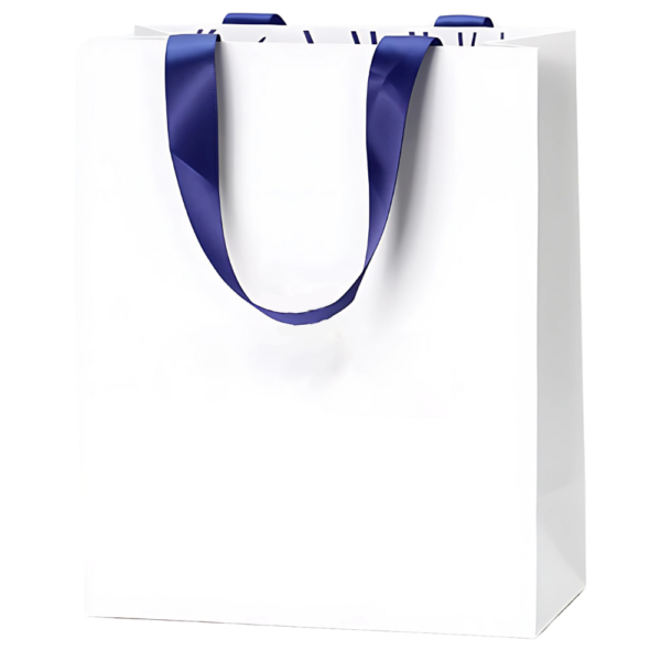 Custom Hotel Paper Bag