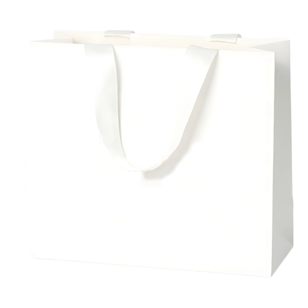 Matte Paper Gift Bag