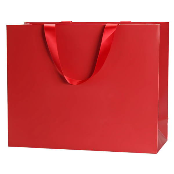 Spot UV Luxury Paper Bag