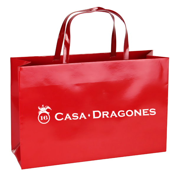 Custom Glossy Shopping Bag with PU Handle