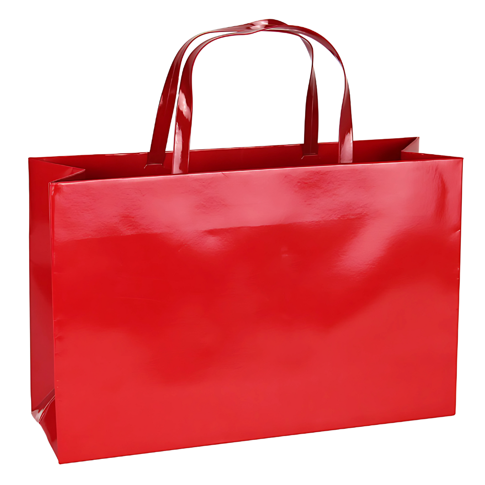 WNG-2915-Custom-Glossy-Bag-with-PU Handle-3