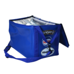Lunch Cooler Bag