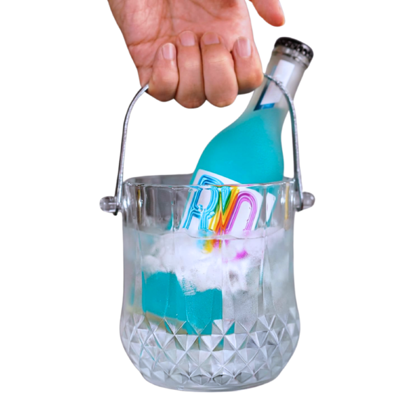 1.1L Mini Glass Ice Bucket with Handle and Tong