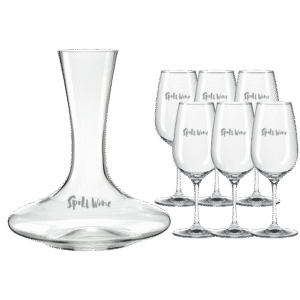 Crystal Mendoza Wine Bottle and Stemmed Glass Set