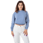 Long Sleeve Crop Mock Neck