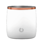 11oz. Snowfox Insulated Rocks Tumbler with Lid