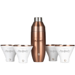 Snowfox Insulated Cocktail Shaker and Martini Tumbler Set