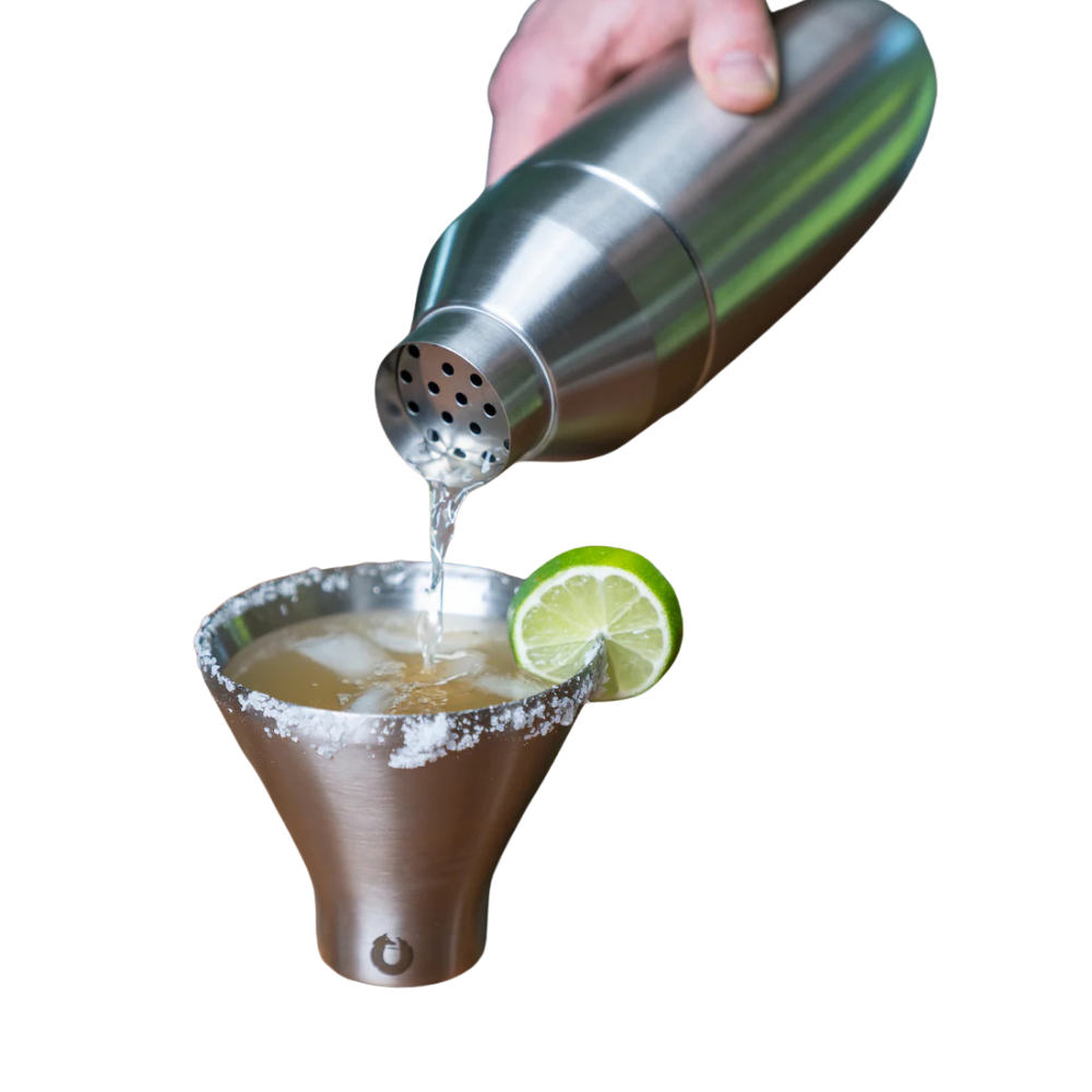 Snowfox Insulated Cocktail Shaker and Martini Tumbler Set