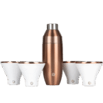 Snowfox Insulated Cocktail Shaker and Martini Tumbler Set