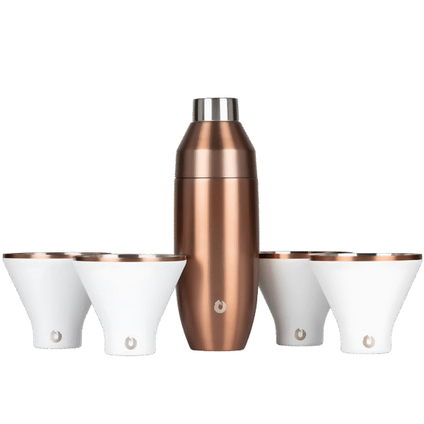 Snowfox Cocktail Shaker and Martini Tumbler