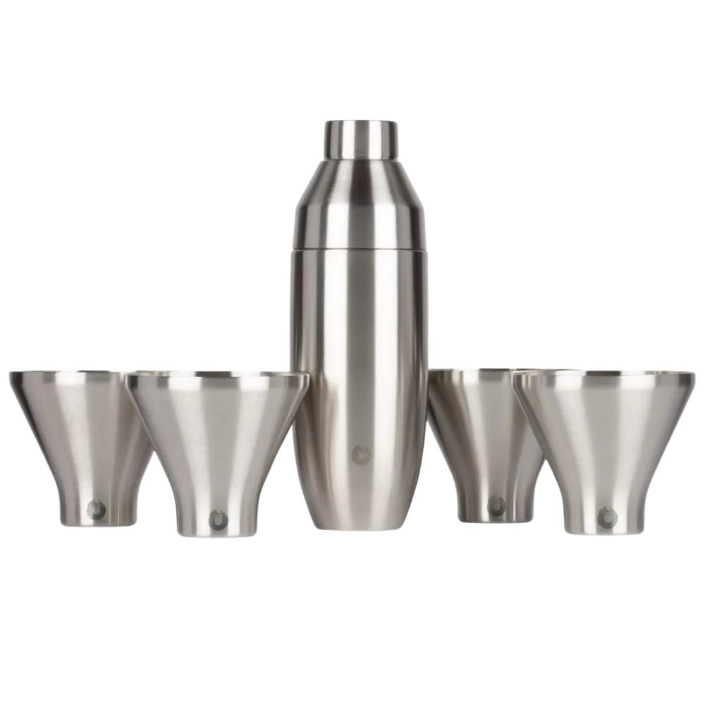 Snowfox Insulated Cocktail Shaker and Martini Tumbler Set