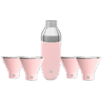 Snowfox Insulated Cocktail Shaker and Martini Tumbler Set