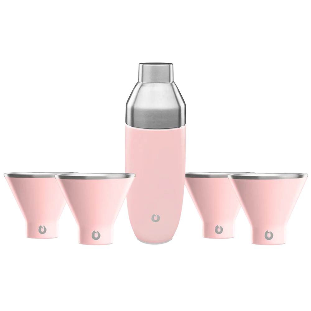 Snowfox Insulated Cocktail Shaker and Martini Tumbler Set