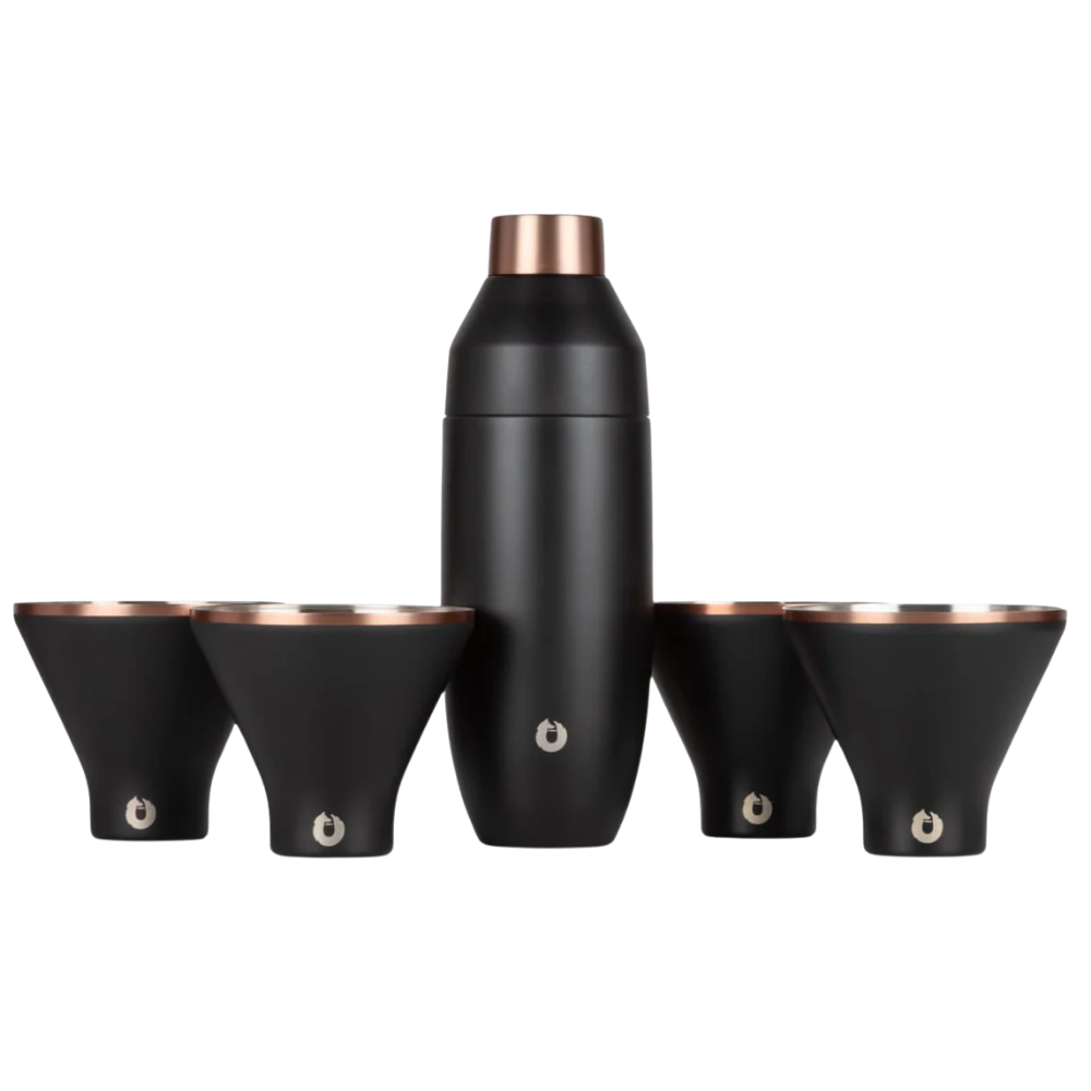 Snowfox Insulated Cocktail Shaker and Martini Tumbler Set