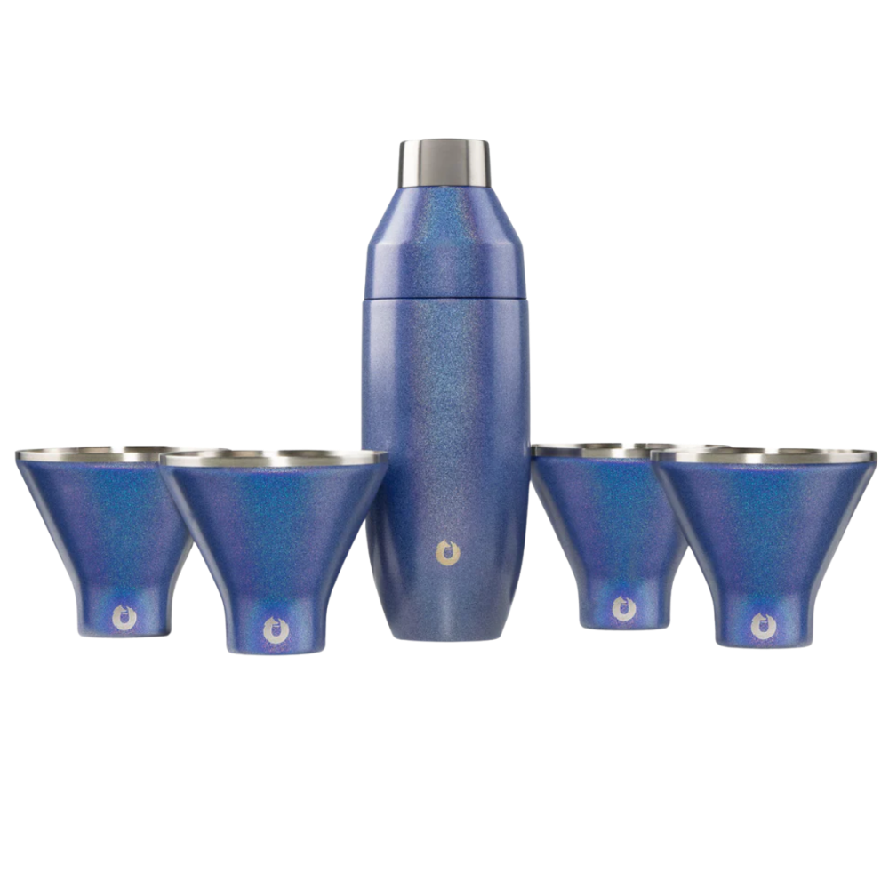 Snowfox Insulated Cocktail Shaker and Martini Tumbler Set