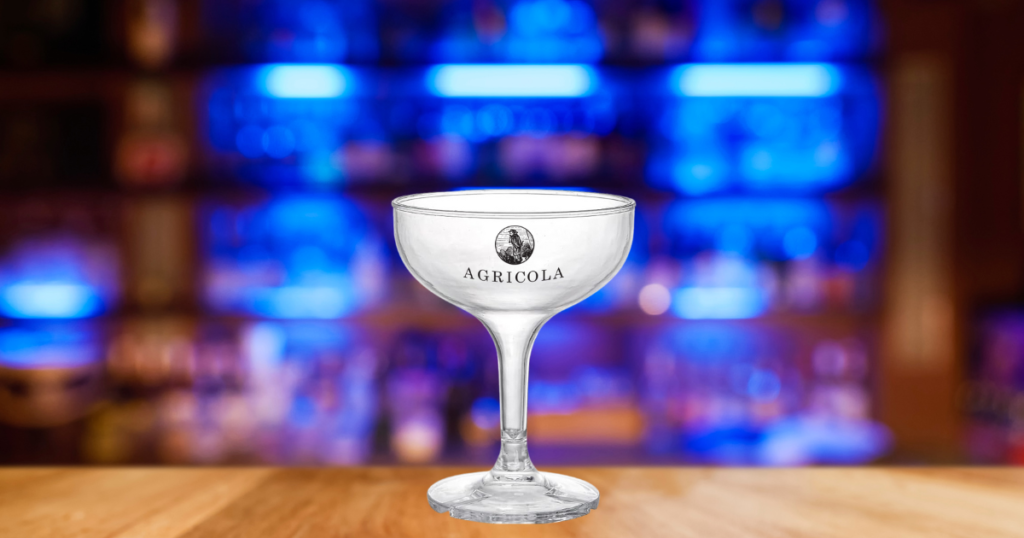 5oz. Acrylic Martini Coupe Glass