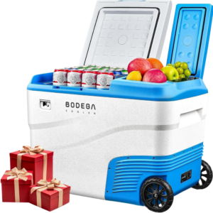 12V Car Fridge