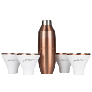 Insulated Cocktail Shaker and Martini Tumbler Barware Set