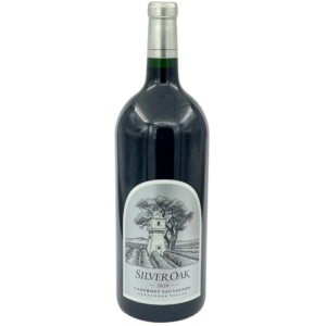 3L Dummy Bottle