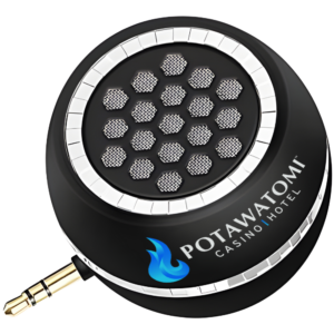 Mini Portable Speaker