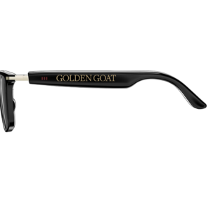 AI Smart Glasses