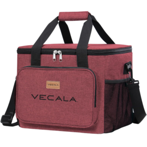 24L Insulated Picnic Cooler Bag