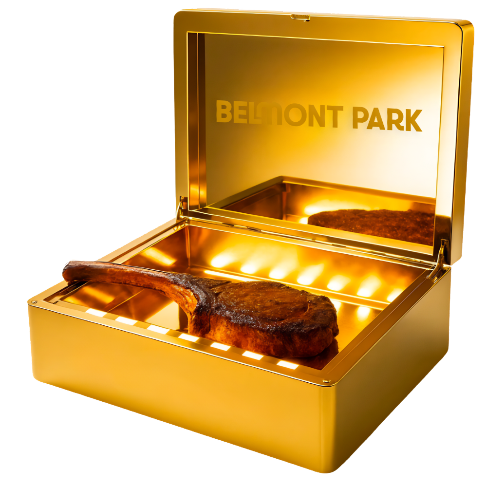 LED Steak Briefcase