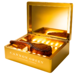 LED Steak Briefcase