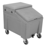 Mobile Ice Caddy & Merchandiser
