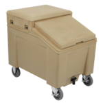 Mobile Ice Caddy & Merchandiser