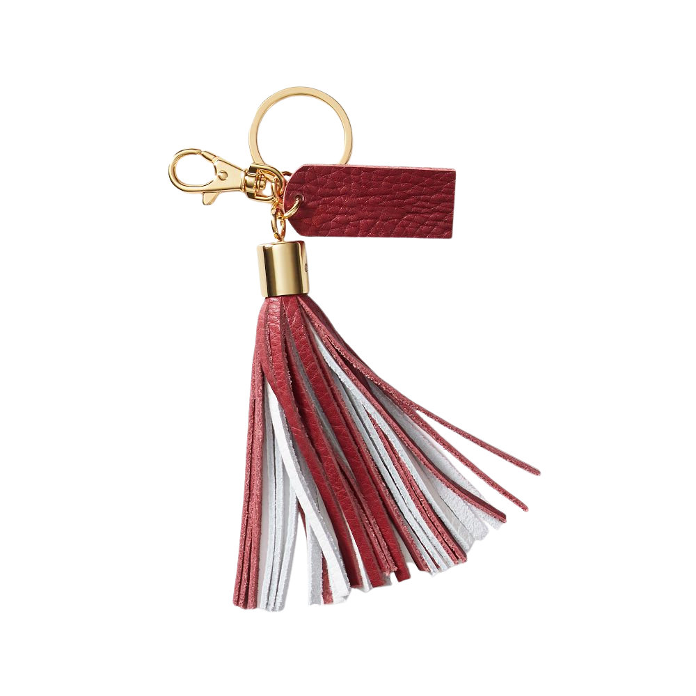 Multicolor Leather Tassel Keychain